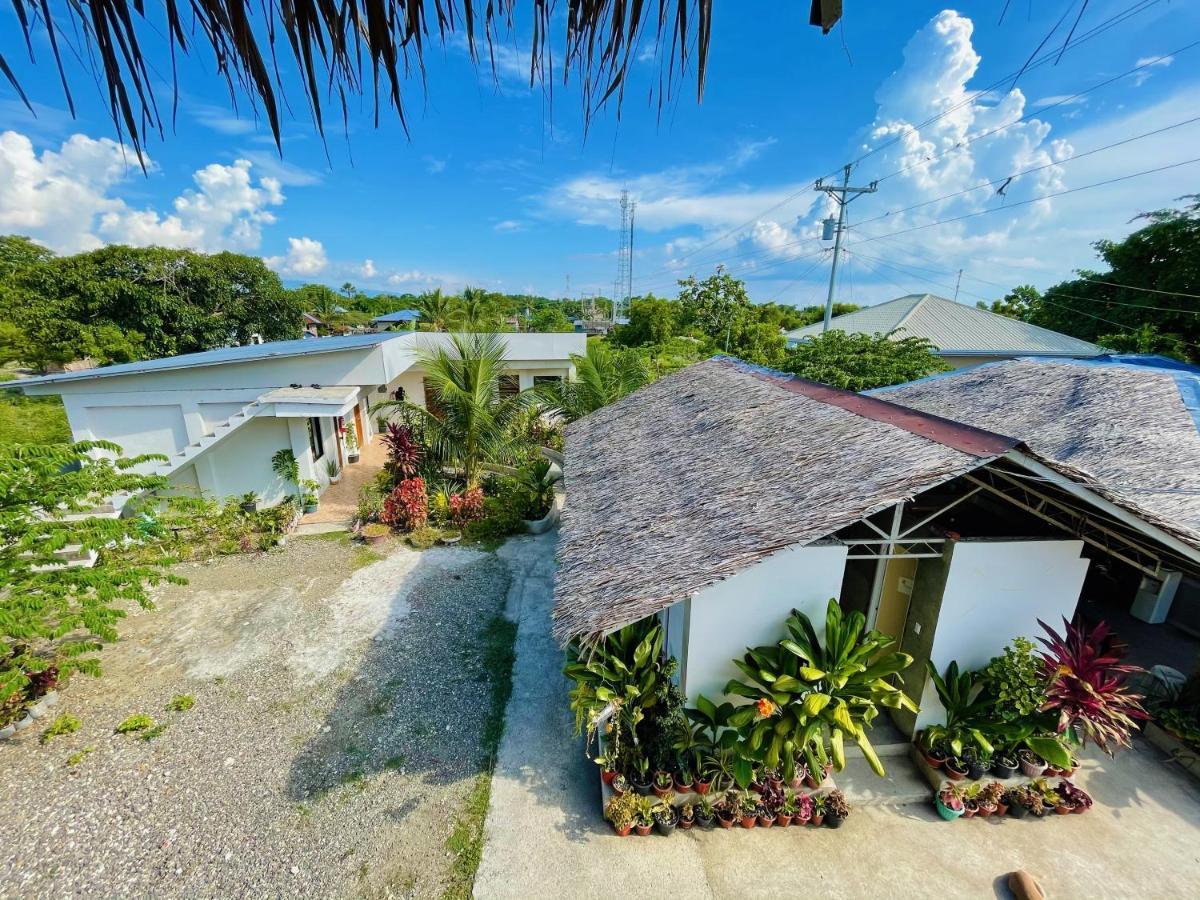 Ananas Guesthouse Moalboal Exteriér fotografie