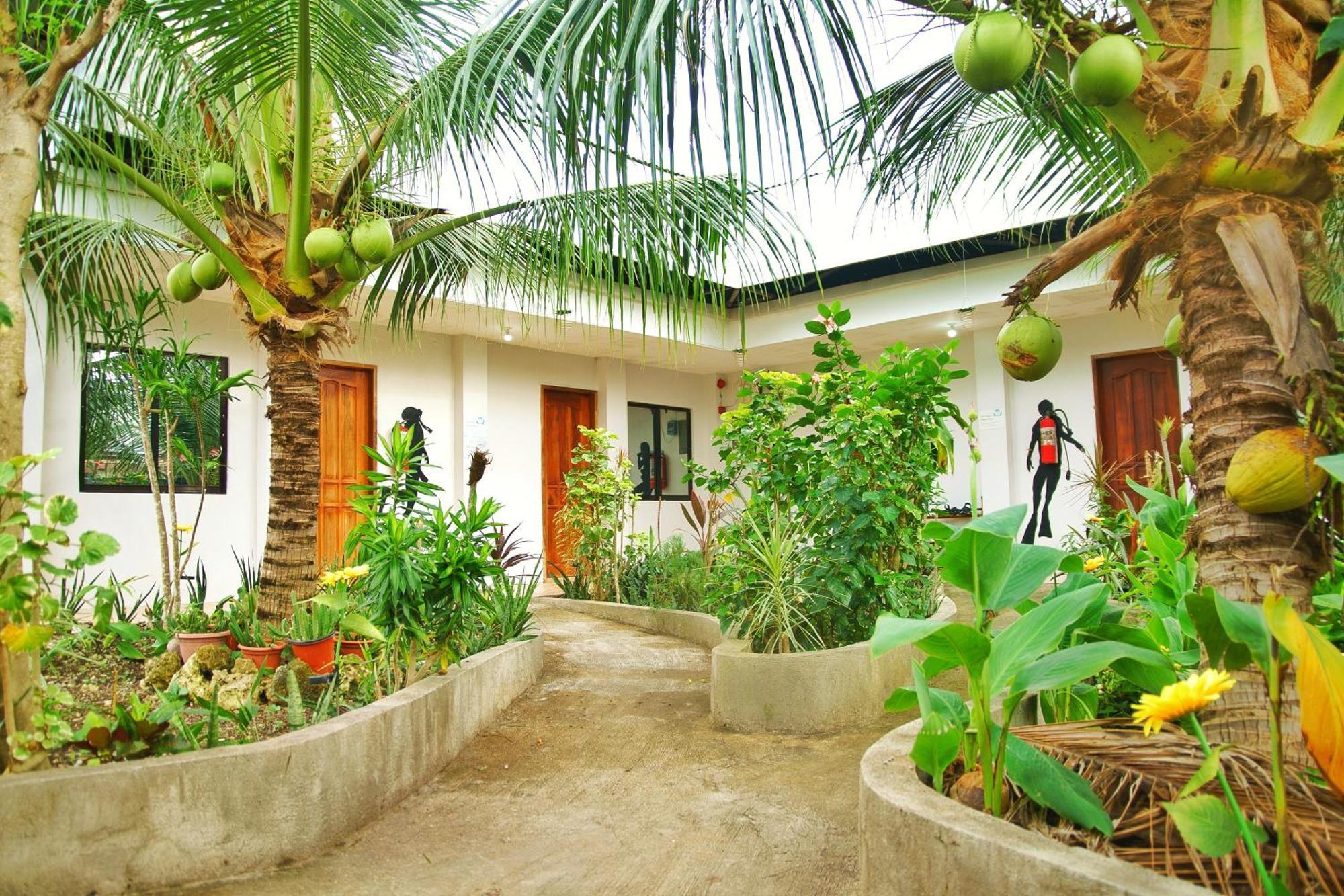 Ananas Guesthouse Moalboal Exteriér fotografie