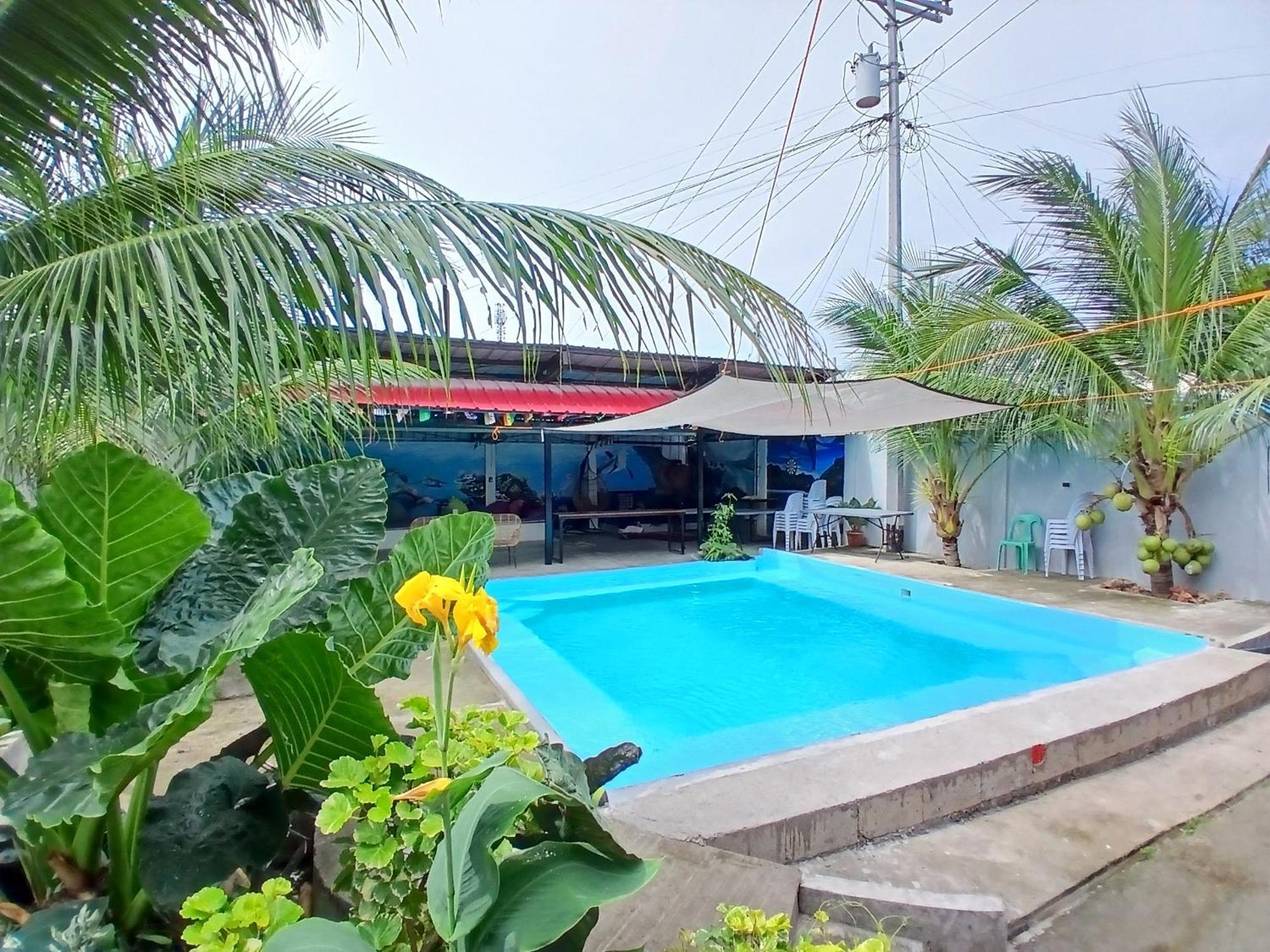 Ananas Guesthouse Moalboal Exteriér fotografie