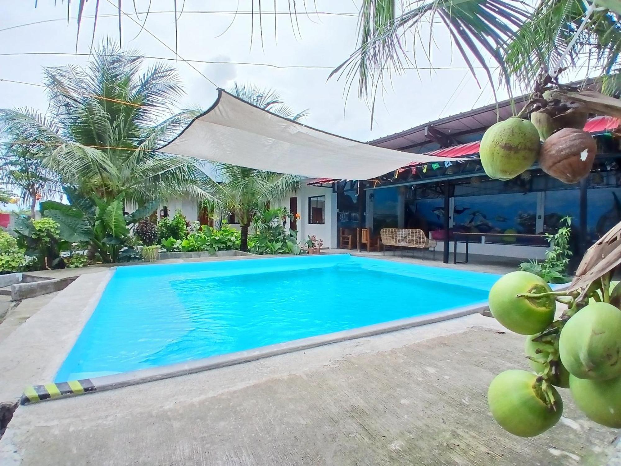 Ananas Guesthouse Moalboal Exteriér fotografie