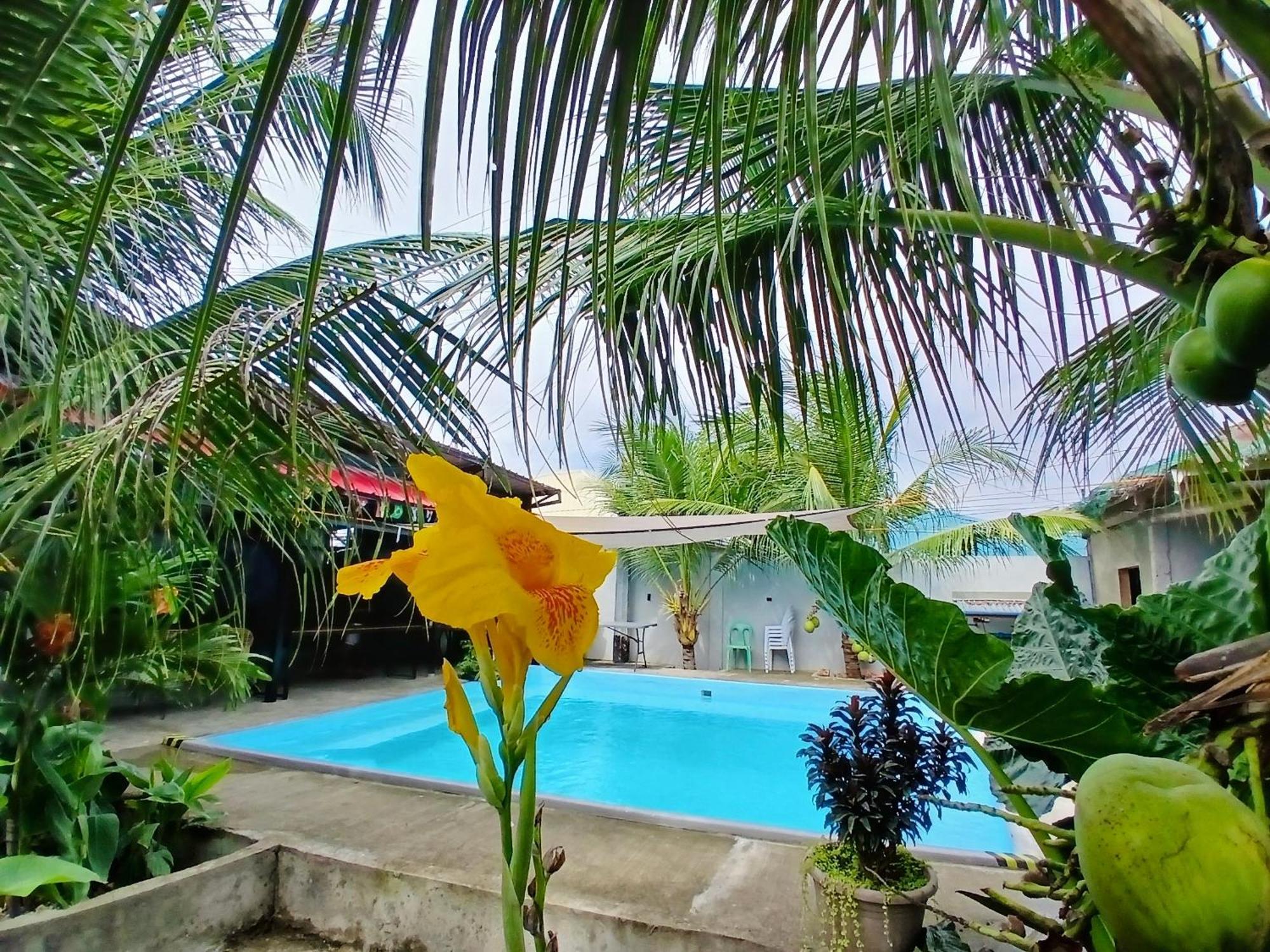 Ananas Guesthouse Moalboal Exteriér fotografie