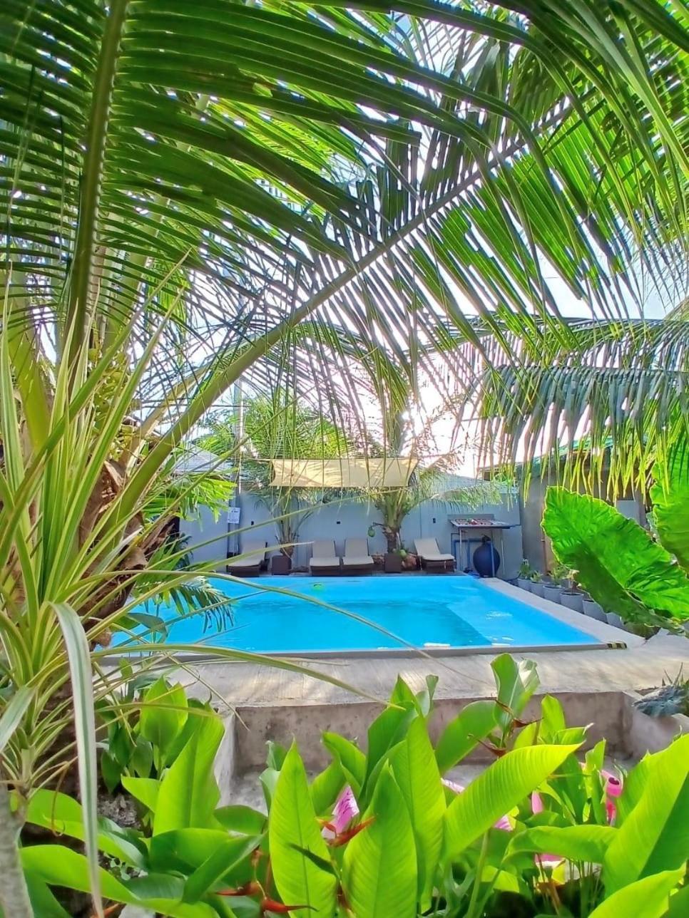 Ananas Guesthouse Moalboal Exteriér fotografie