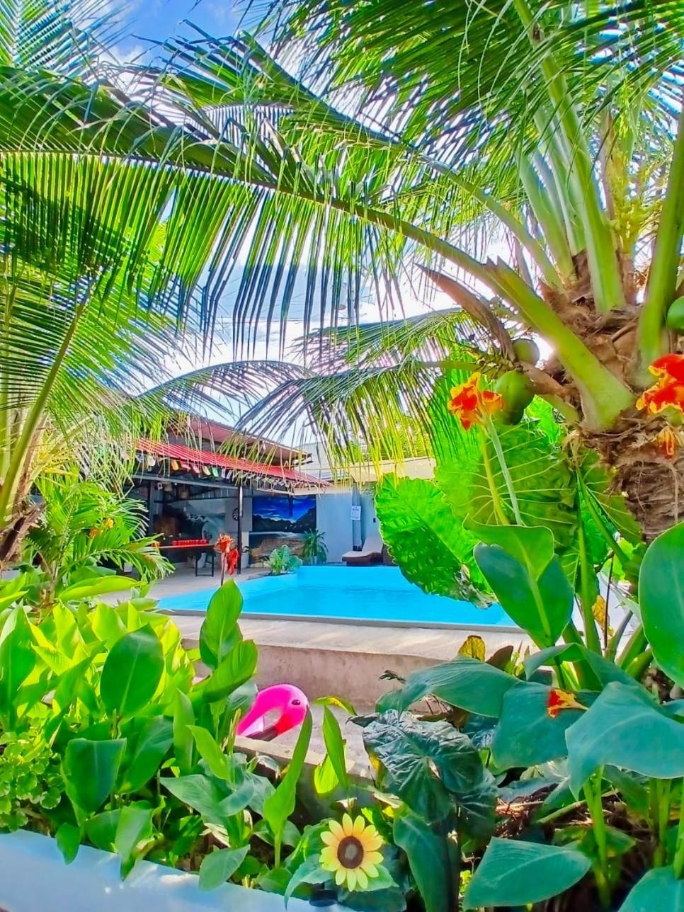 Ananas Guesthouse Moalboal Exteriér fotografie