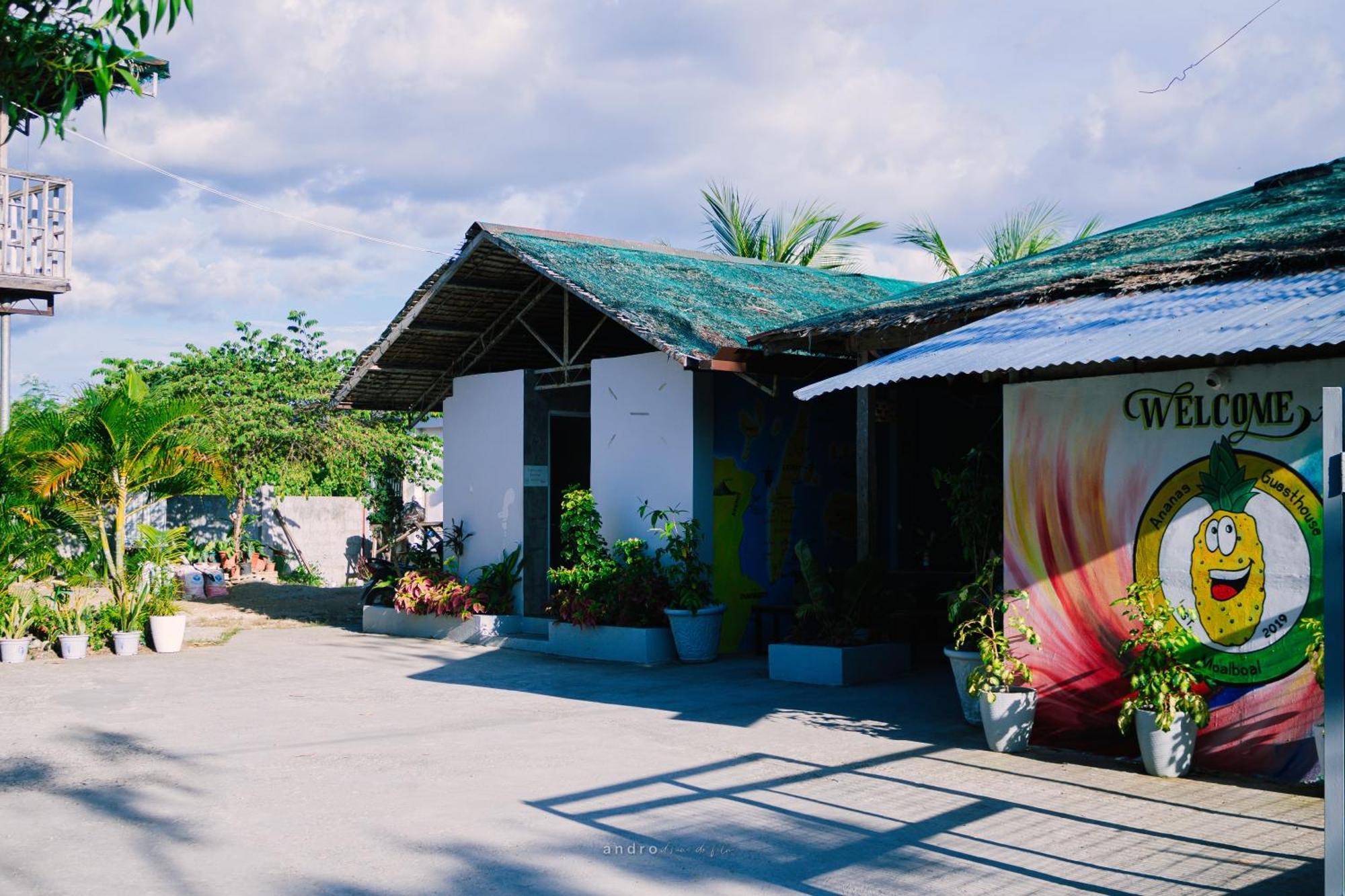 Ananas Guesthouse Moalboal Exteriér fotografie