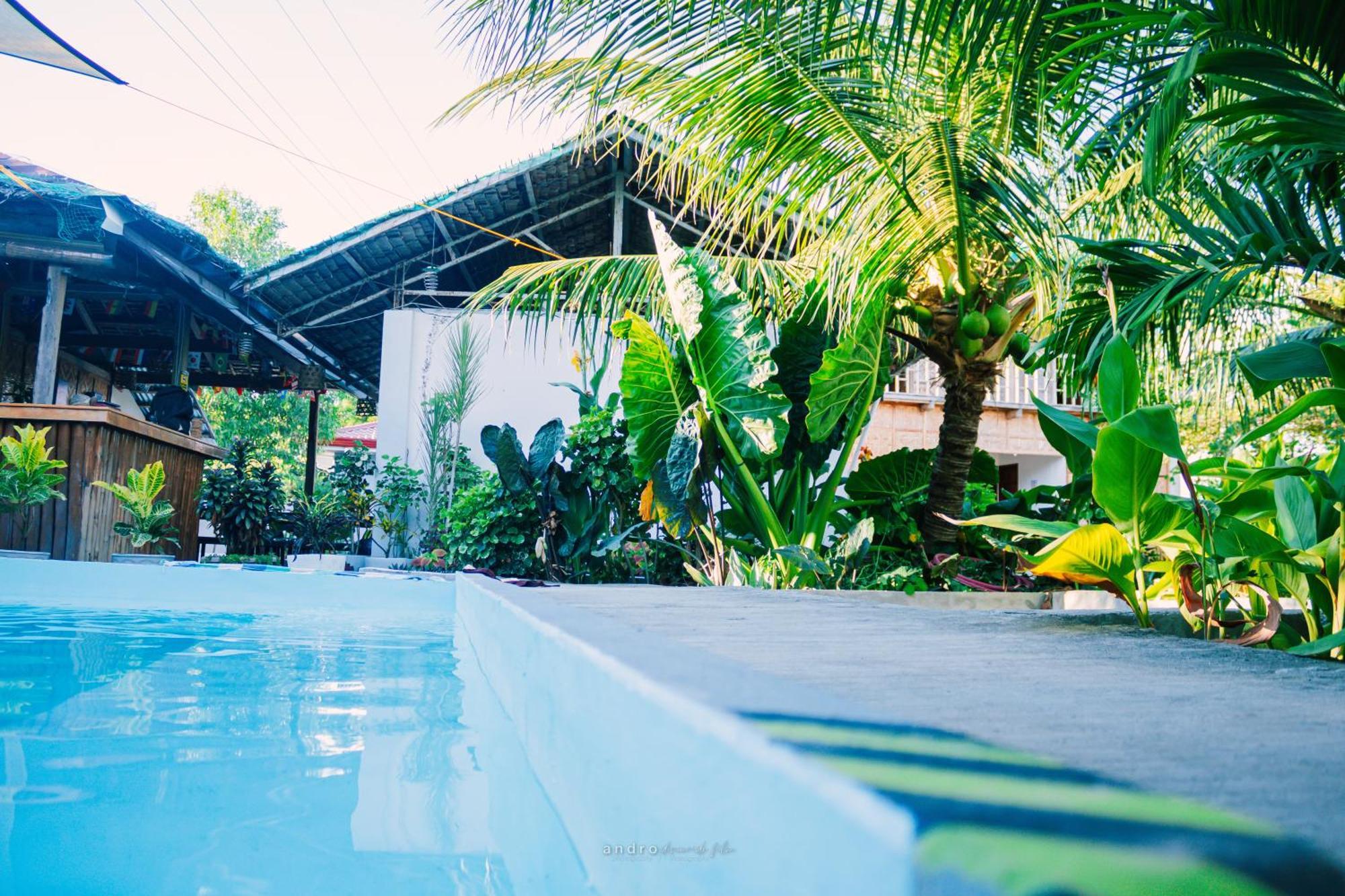 Ananas Guesthouse Moalboal Exteriér fotografie